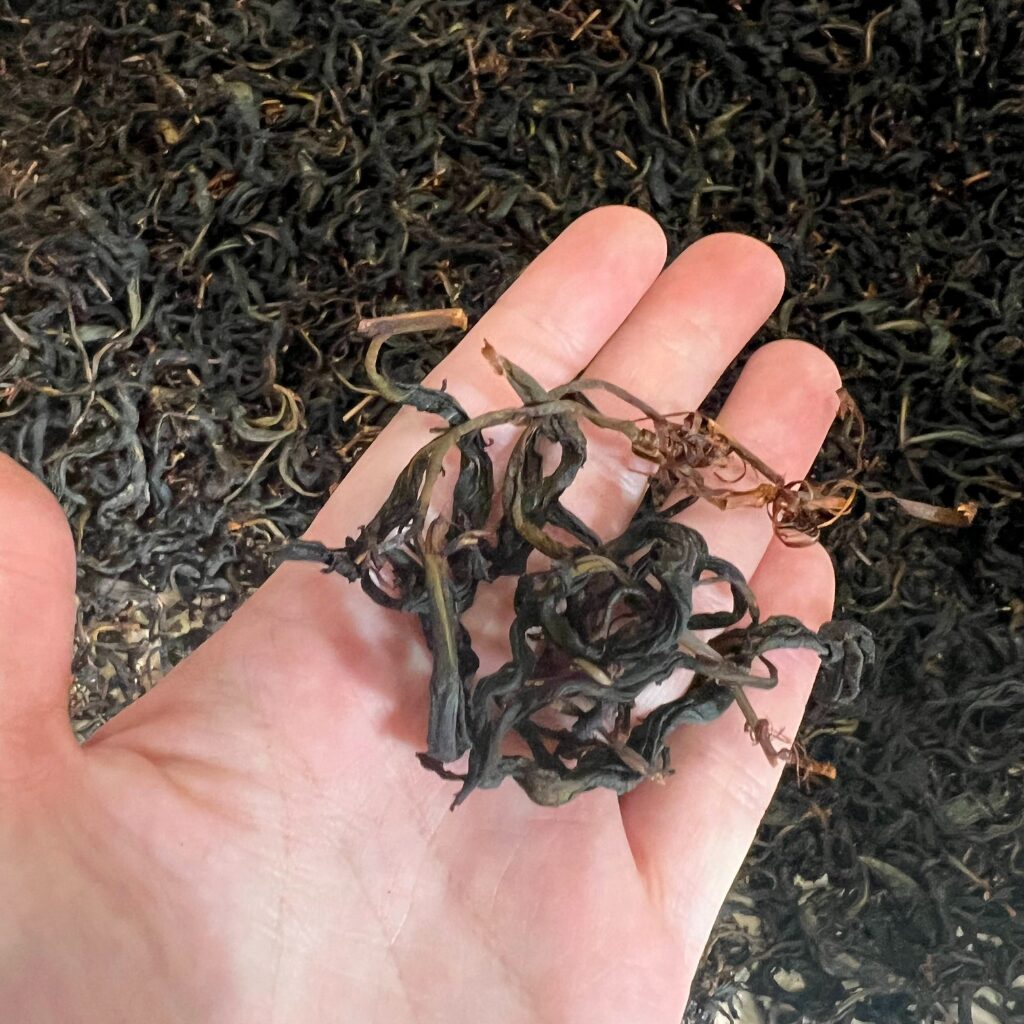 手もみで作ったべにふうきの和紅茶の茶葉