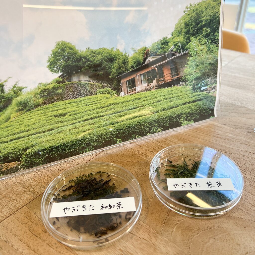 やぶきた緑茶と和紅茶